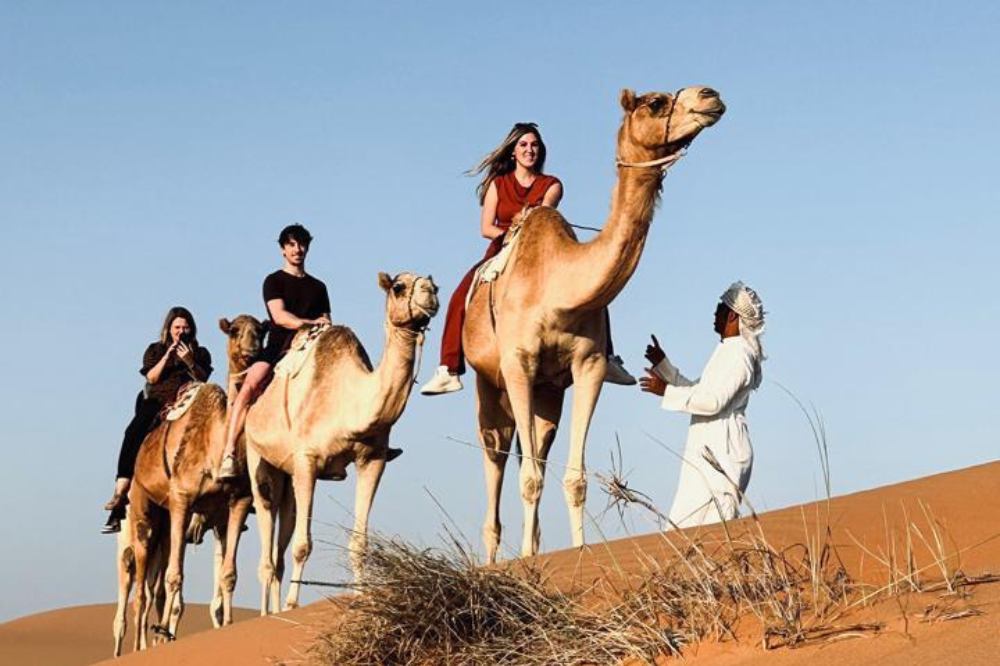 Untitled design - 2026-02-16T143057.826